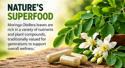 Moringa Pure